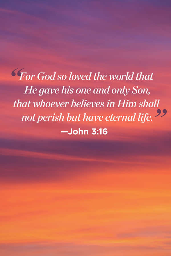 John316 Bible Verse Sunset Background Wallpaper