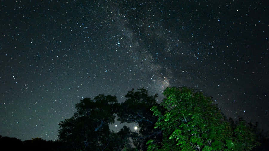 Jupiter And Venus Wallpaper