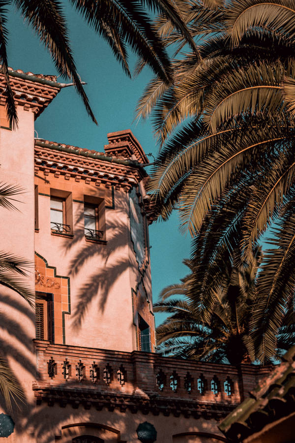 Justin Bieber In Concert - Pop Sensation On Stage Wallpaper