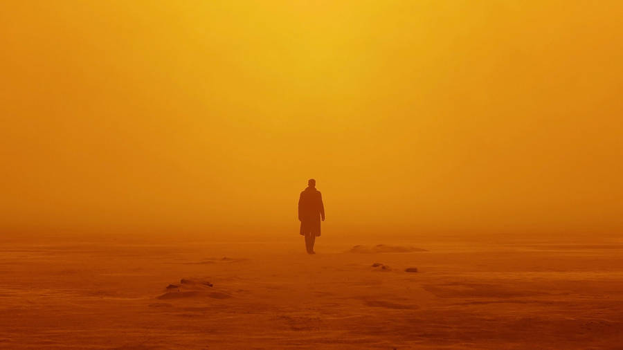 K, The Replicant, In A Desolate Desert Wallpaper