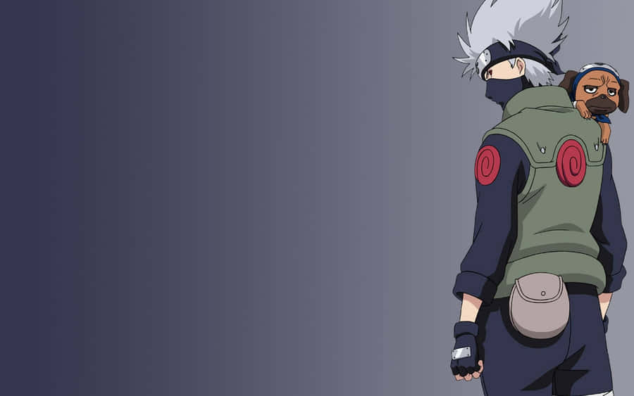 Kakashi Aesthetic Holding Dog Wallpaper