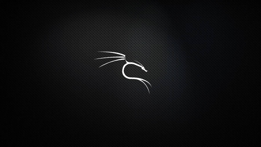 Kali Linux Silver Dragon Logo Wallpaper
