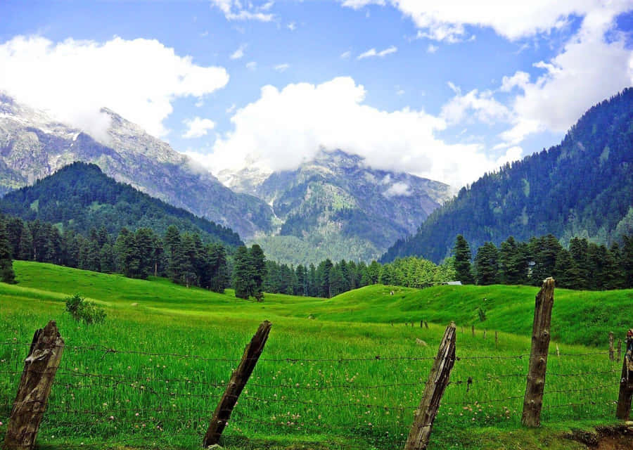 Kashmir_ Valley_ Serenity.jpg Wallpaper