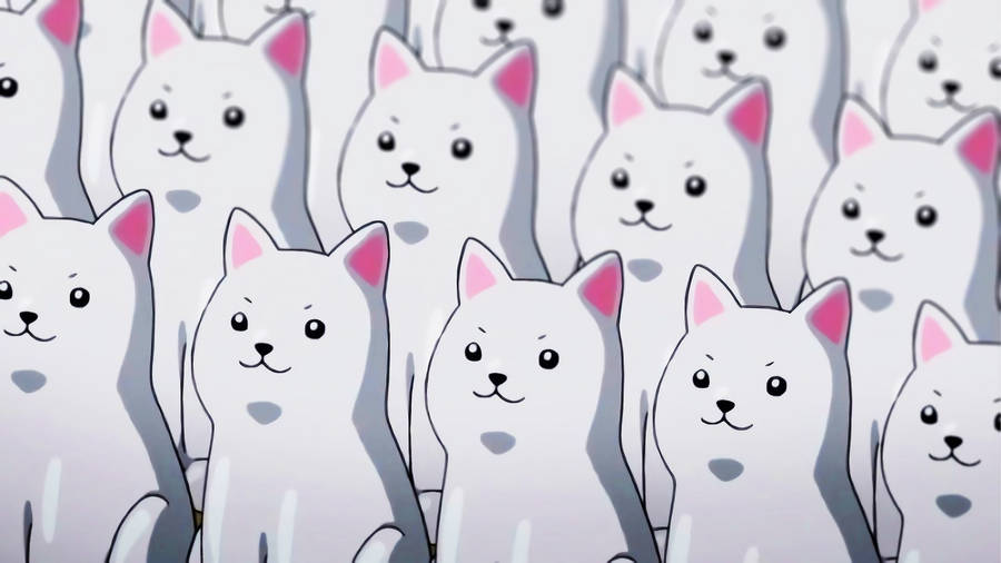 Kawaii Hd White Dogs Wallpaper