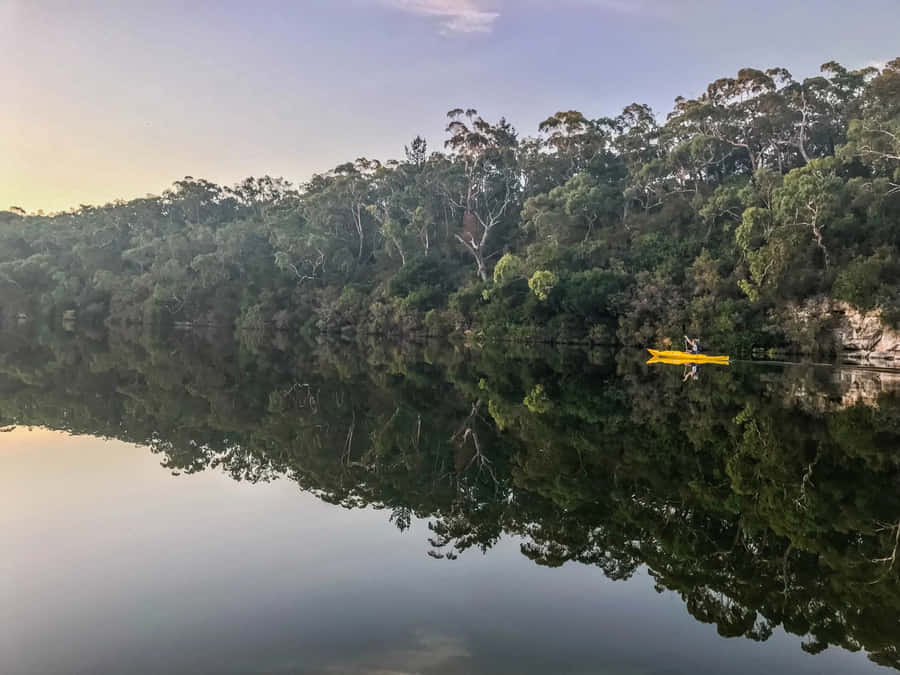 Kayakingin Tranquil Glenelg River Wallpaper