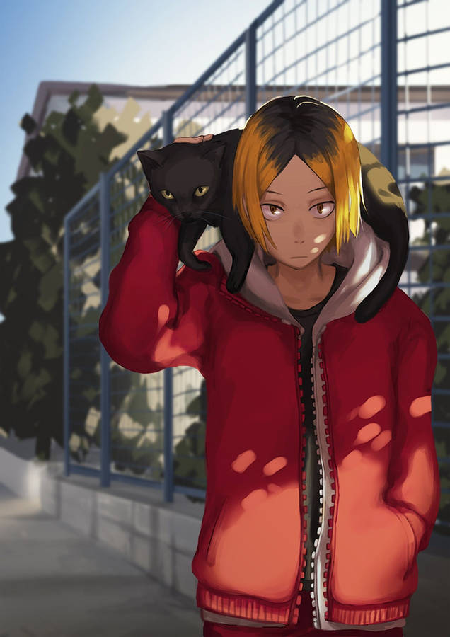 Kenma Carrying A Cat Wallpaper