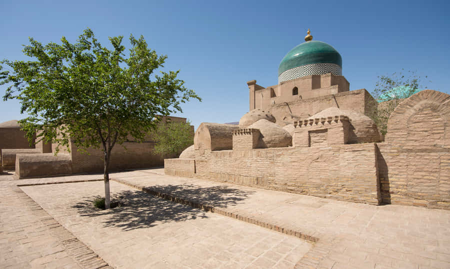 Khiva Single Tree Wallpaper