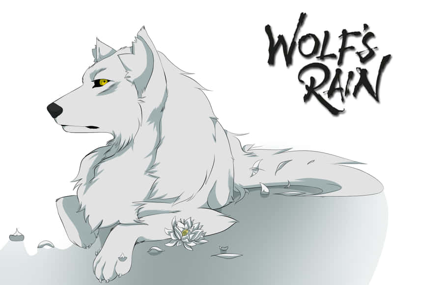 Kiba From Wolf's Rain Standing In The Wilderness Wallpaper