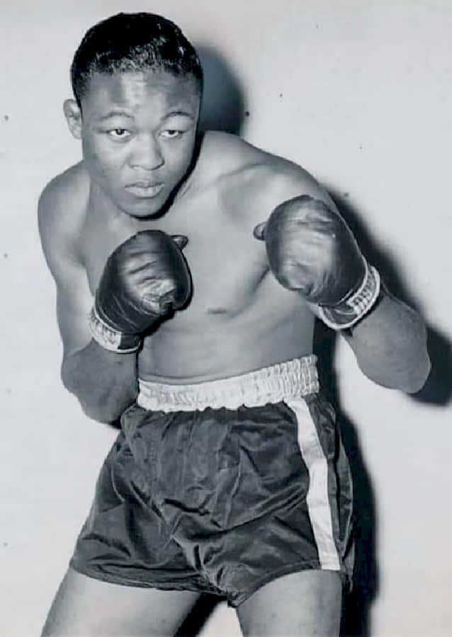 Kid Gavilan Spotlight Wallpaper