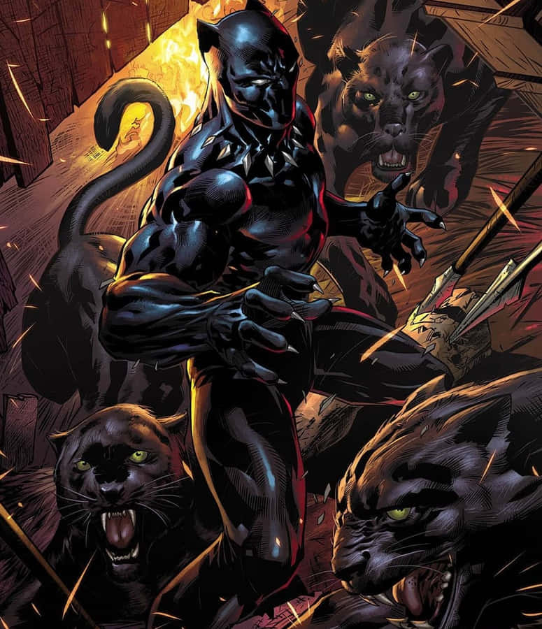 King T'challa, The King Of Wakanda Wallpaper