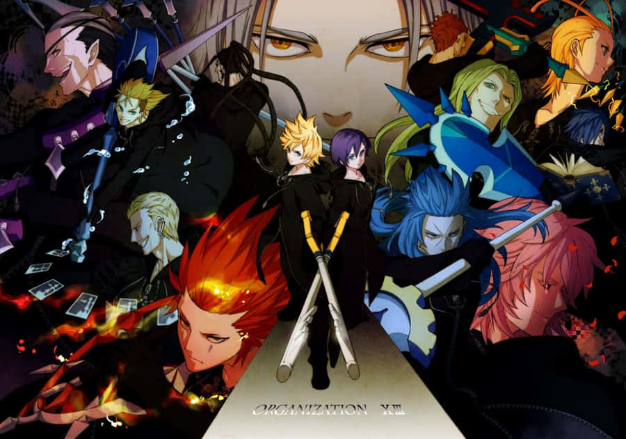 Kingdom Hearts Organization 13 Assembled In Action Wallpaper