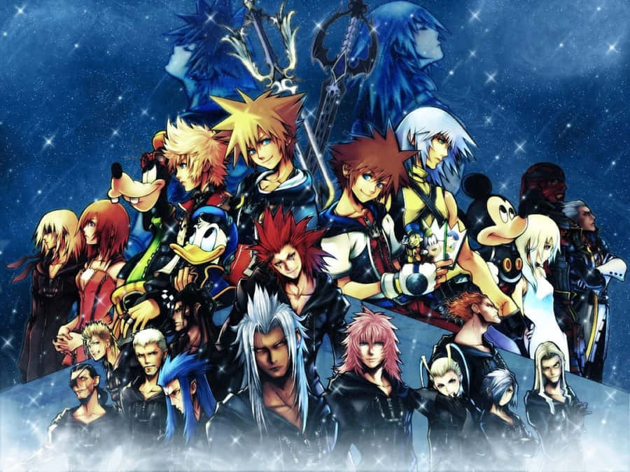 Kingdom Hearts Organization Xiii Epic Showdown Wallpaper