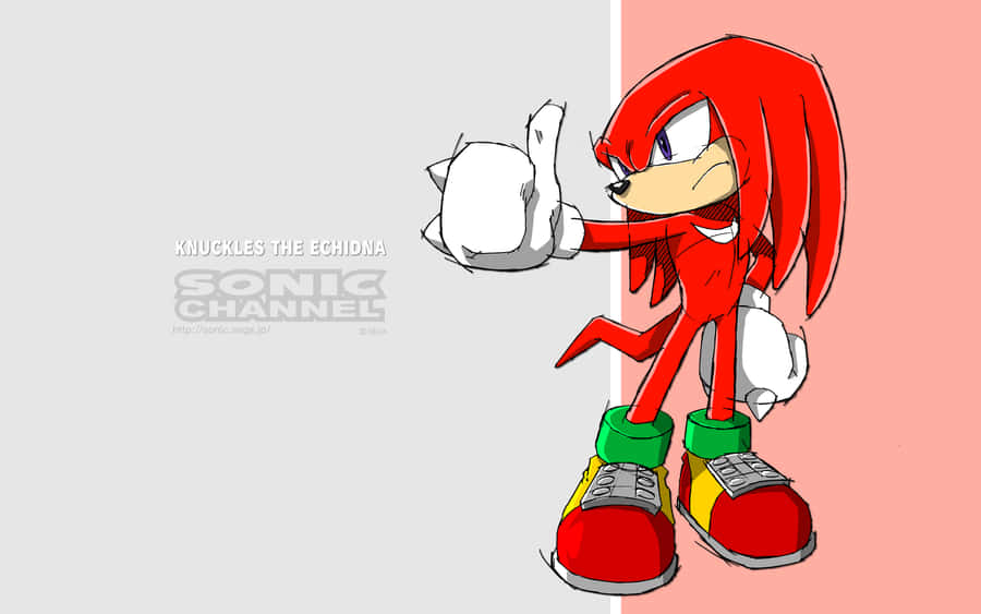 Knuckles The Echidna Stands Guard Against Injustice And Danger. Wallpaper