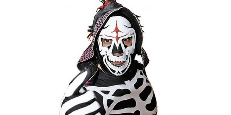 La Parka Luchadorin Maskand Costume Wallpaper