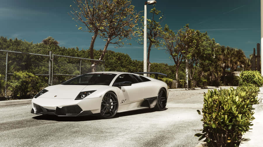 Lamborghini Murciélago In Captivating Landscape Wallpaper