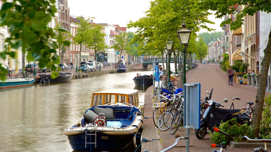 Leiden Canal View Summer Day Wallpaper