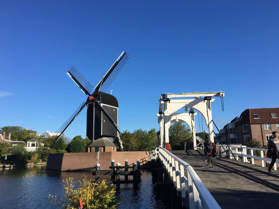 Leiden Windmilland Drawbridge Wallpaper