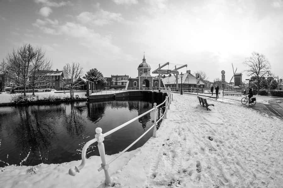 Leiden Winter Canal Scene Wallpaper