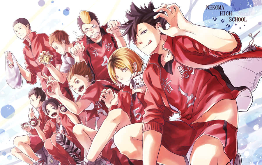 Lev Haiba 1927 X 1215 Wallpaper Wallpaper