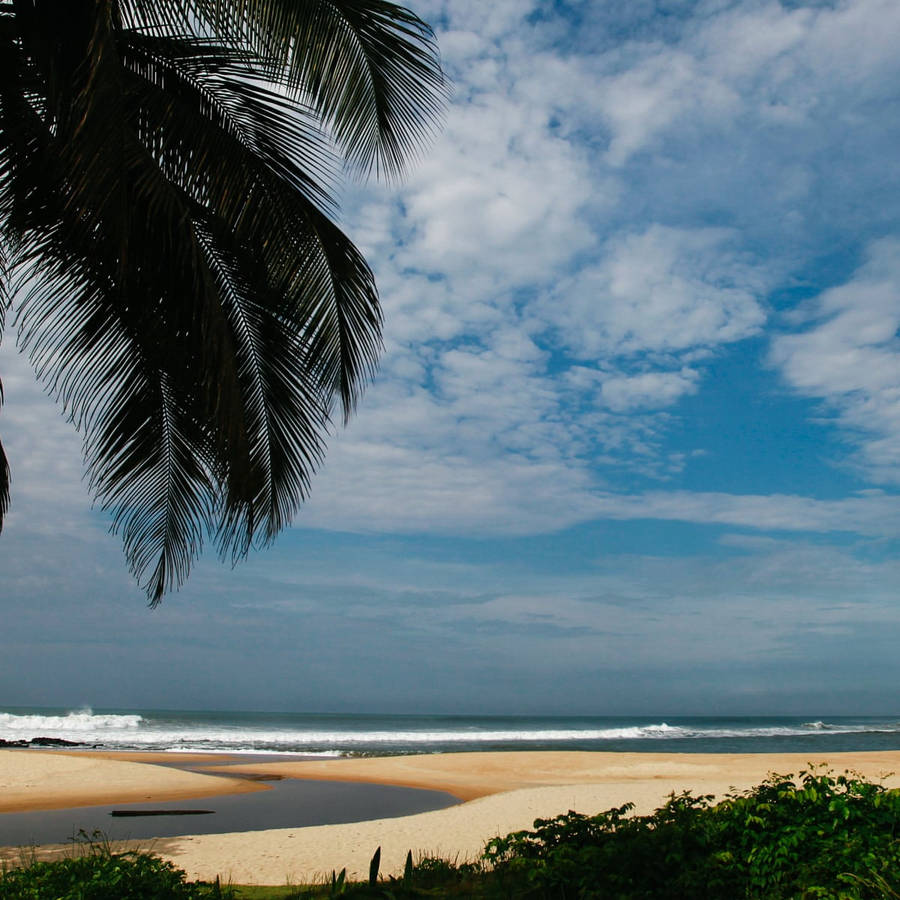 Liberia Brown Beach Wallpaper