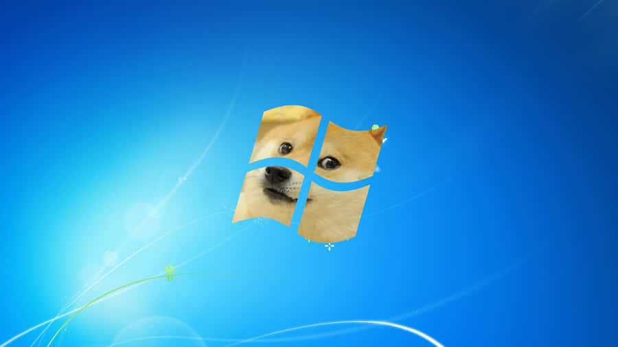 Life Is Ruff Wallpaper