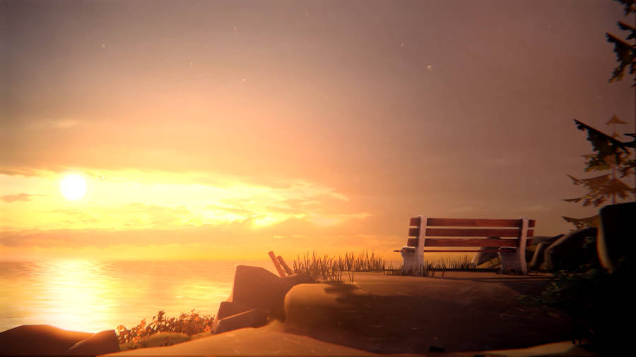 Life Is Strange Sunset View Wallpaper
