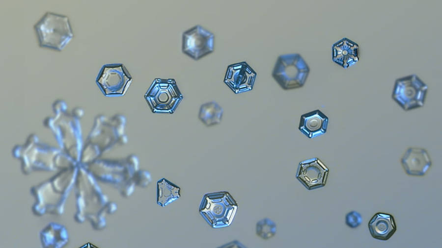 Light Blue Snow Flakes Wallpaper