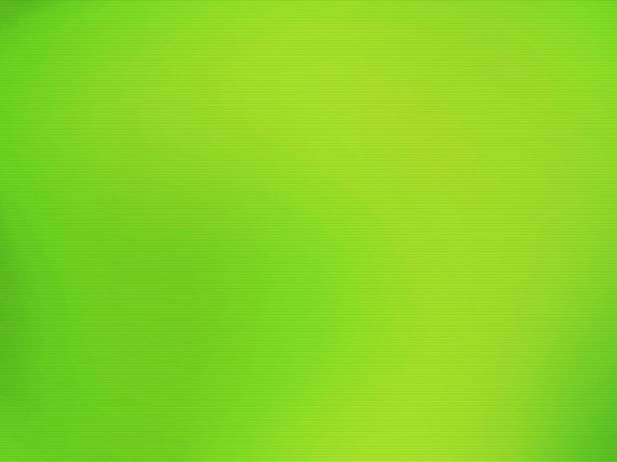 Light Green Small Gradient Wallpaper