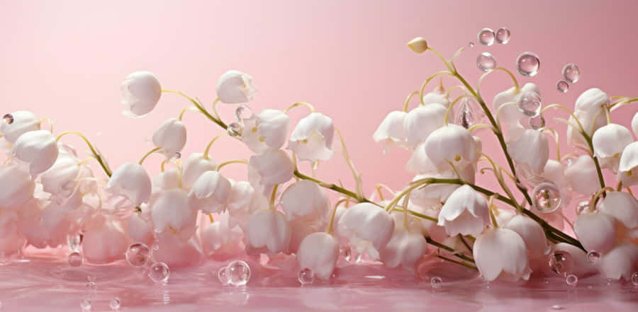 Lilyofthe Valley Delicate Droplets Wallpaper