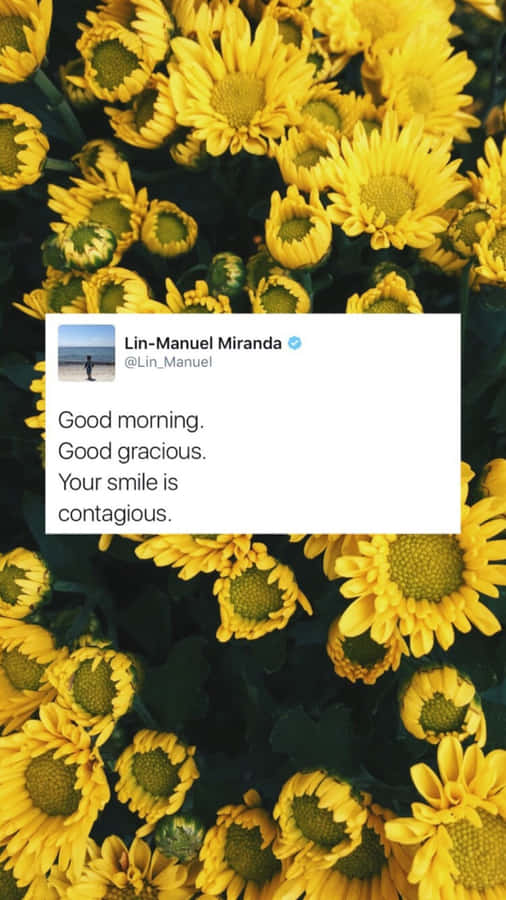 Lin-manuel Miranda Wallpaper