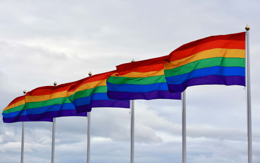Lined Up Lgbt Flags Wallpaper