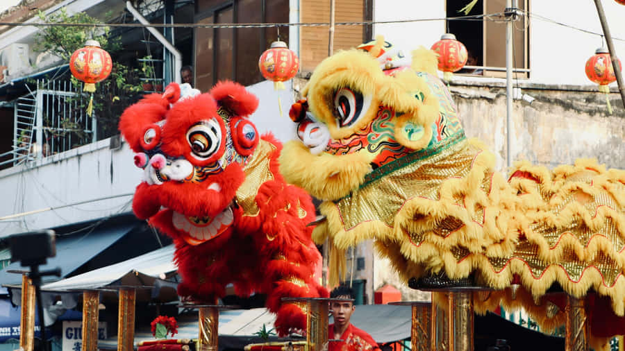 Lion Dance Performance Wallpaper