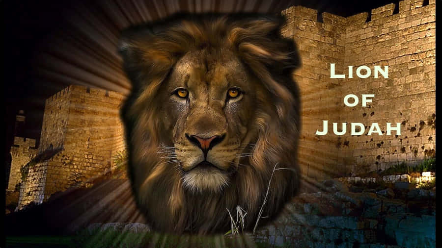 Lion Of Judah 1920 X 1080 Wallpaper Wallpaper