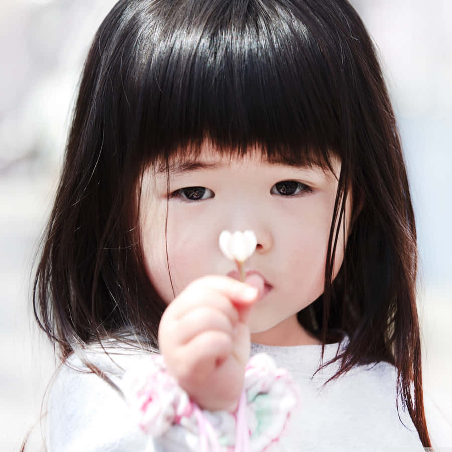 Little Girl Holding Flower Closeup Wallpaper
