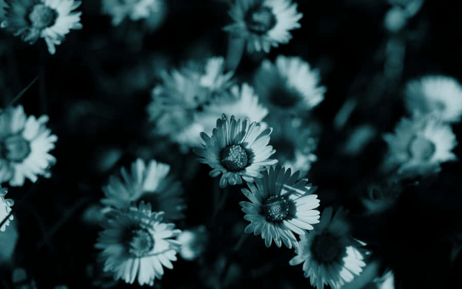 Little Teal Flower Wallpaper