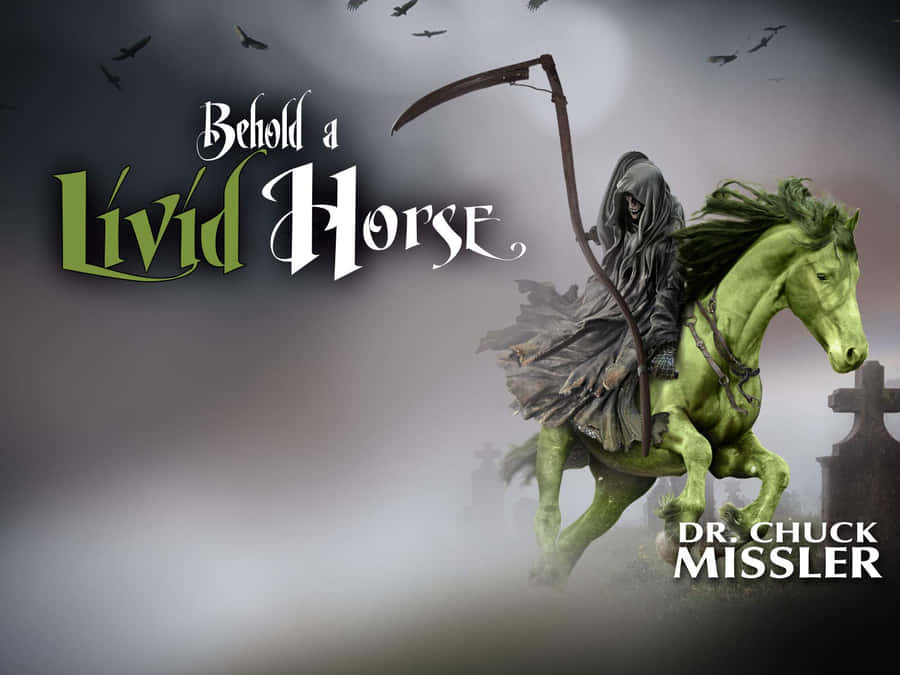 Livid Horseand Rider Artwork Wallpaper
