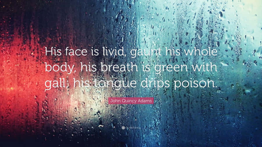 Livid Quote Rainy Window Wallpaper
