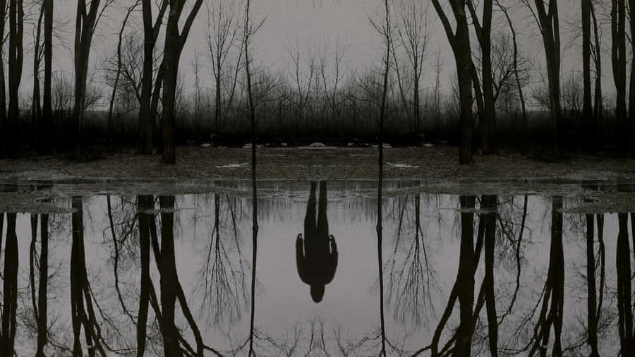 Lone Traveller Gazing At Serene Sunset Wallpaper