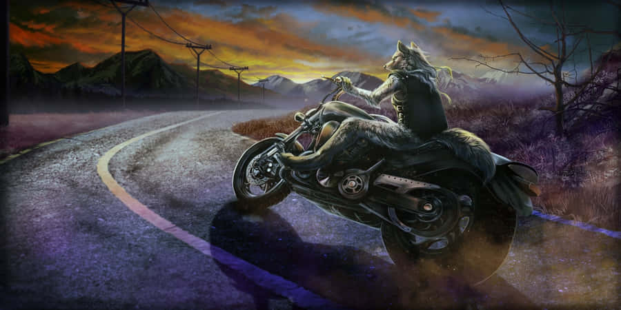 Lone Wolf Riderat Dusk Wallpaper