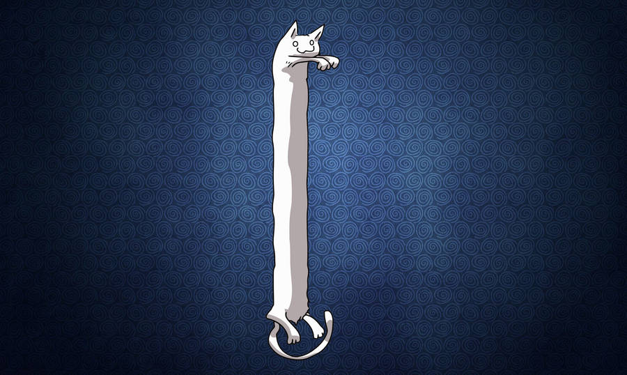 Long Cat Stretching Its Way To Success Wallpaper