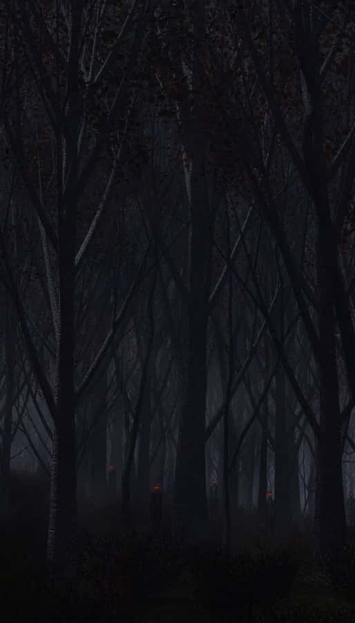 Look At The Eeriness Of This Haunted Forest Wallpaper