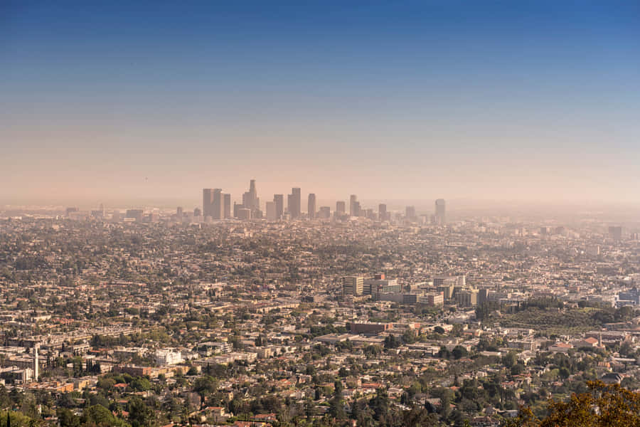 Los Angeles Hazy City Skyline Wallpaper