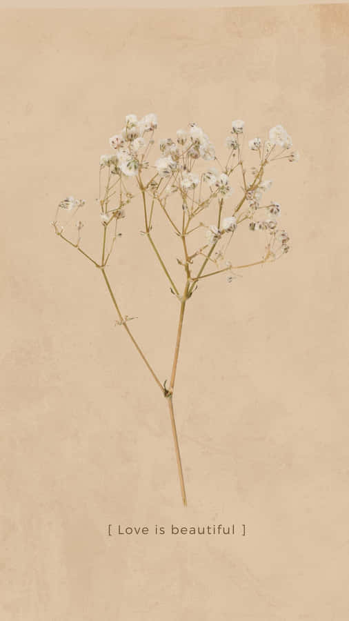 Love Is Beautiful Dried Flowers Artwork Wallpaper