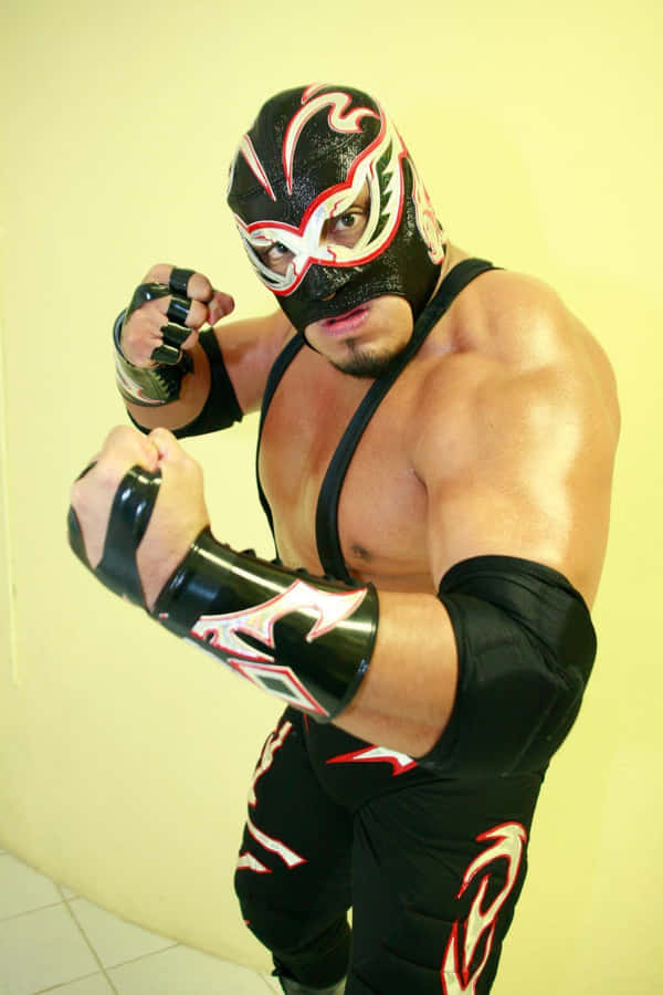 Luchadorin Action Pose Wallpaper