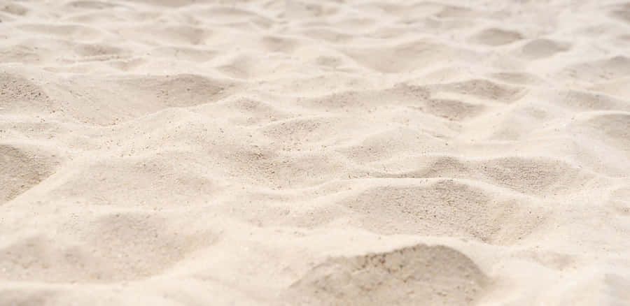 Lush Green Forest Wallpaper