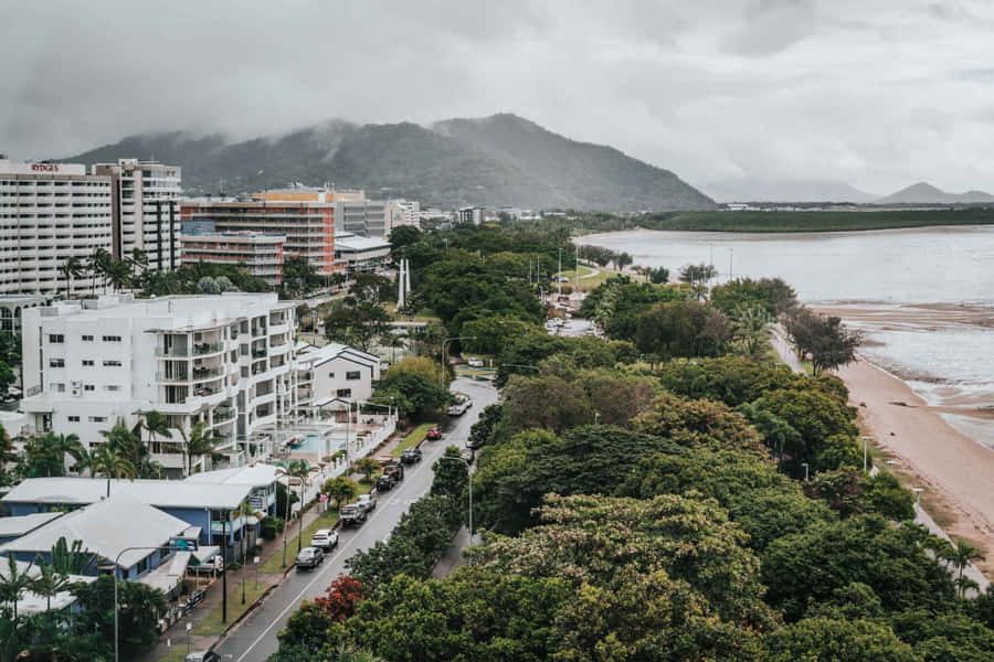 Lush Tropical Foliage In Cairns, Australia Wallpaper