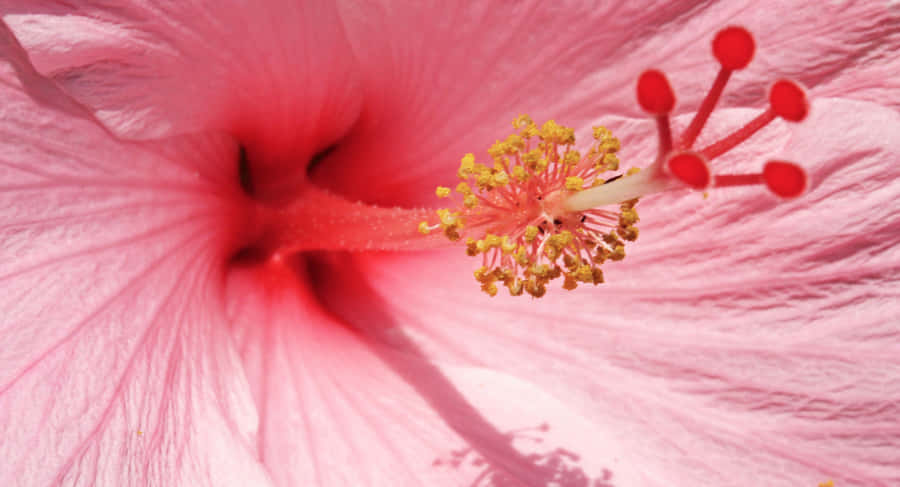 Luxurious Sportscar On Dark Steel Background Wallpaper