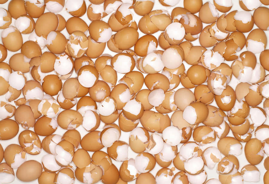 Luxury Interior With Charming Eggshell Wallpaper Wallpaper