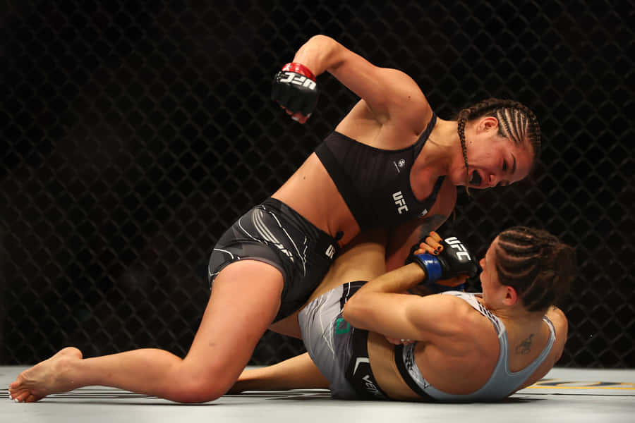 M M A Fighters Ground Control Wallpaper