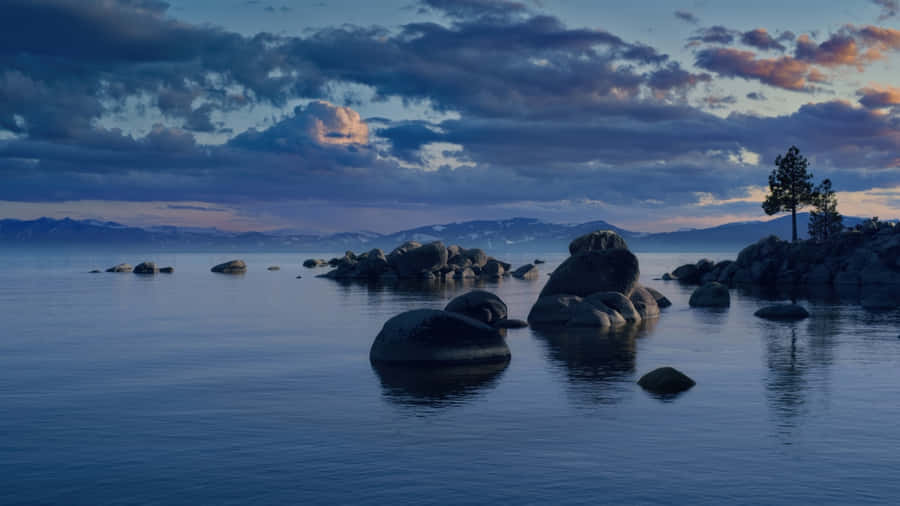 Macos Tahoe Default Wallpaper Wallpaper